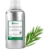 Etheloil Çay Ağacı Uçucu Yağı - Etheloil - 500 gr - %100 Saf ve Doğal Uçucu Yağ - Üretici Firma, Yüksek Kalite, Toptan Satış - Tea Tree Essential Oil - Melaleuca Alternifolia (Maiden & Betche) Cheel - 500 ml