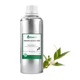 Etheloil Mersin Uçucu Yağı - 1 KG - Saf ve Doğal Uçucu Yağ - Üretici Firma
