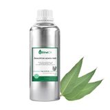 Etheloil Ökaliptus Uçucu Yağı - 1 KG - Saf ve Doğal Uçucu Yağ - Üretici Firma