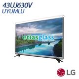 Etiasglass LG 43UJ630V Ekran Koruyucu