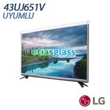 Etiasglass LG 43UJ651V Ekran Koruyucu