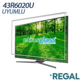 Etiasglass Regal 43R6020U Tv Ekran Koruyucu