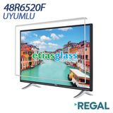 Etiasglass Regal 48R6520F Ekran Koruyucu