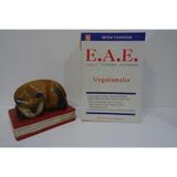 ETKİLİ ANA BABA EĞİTİMİNDE UYGULAMALAR