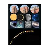 Etorva Store 7x Büyüteç 6 LED Işık Aydınlatma 50MM Optik Lens El Büyüteç - Renkli