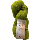Etrofil Blue Faced Leicester Saf Yün Örgü İpi 100 gr 74182 Yosun Yeşili