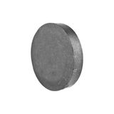 Ett 10 Adet 17X3 Mm Yuvarlak Ferrit Disk Mıknatıs - Eğitim Hobi Deney Mıknatısı