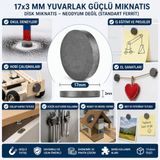ETT 17x3 mm Yuvarlak Güçlü Disk Mıknatıs - Ferrit Mıknatıs, Hobi ve Deney İçin
