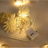 Ett 2 Metre Pilli Peri Led Rgb Işık, Çok Renkli Dekoratif Esnek Tel Lamba
