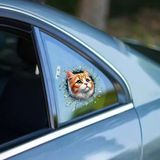 Ett Fulcar Sarman Kedi 3D Araç Stickerı Eğlenceli Oto Kelebek Cam Aksesuarı