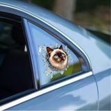 Ett Fulcar Siamesse 3D Kedi Araç Stickerı | Eğlenceli Oto Kelebek Cam Dekor Etiketi