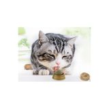 ETT Kedi Nanesi (Catnip) Oyun Topu
