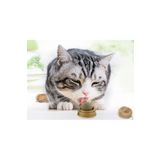 Ett Kedi Nanesi Oyun Topu