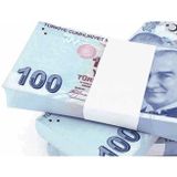 ETT Şaka Parası - 100 Adet 100 TL - Eğlenceli Düğün ve Sünnet Hediyesi