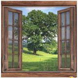 Ett Yapışkanlı Çift Kanat Sineklik | 130X150 Cm Kolay Montaj Pencere Kapı Sinek Tülü