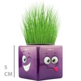 ETT7KN8 Çim Adam Mini Küp Emoji Figürlü 1 Adet ELKCXMH