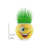 ETT7KN8 Çim Adam Saksı Emoji Figürlü 1 Adet ELKCXMH
