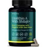Etta Vita Urolithin-A Complex 90 Capsul Shilajit, Organic Sea Moss Tong Kat Ali, Natural Energy, And Focus For Men Women (Made In Usa . - Aromasız