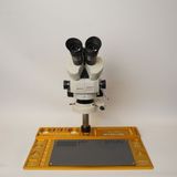 EUAS Myscope Td-7s Kamera Yuvalı Profesyonel Trioküler Beyaz Kafa Tamir Mikroskobu ve LED Işıklı Geniş Gold Çalışma Tablası (My-7s) - .