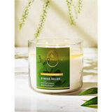 Eucalyptus Spearmint Büyük Mum 411 G, Ferah ve Doğal Koku, Şık Tasarım - Seçenek 1