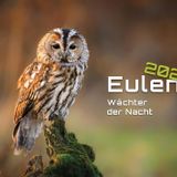 Eulen - Wächter der Nacht - 2026 - Kalender DIN A3: Der Wandkalender mit den schönsten Eulen-Motiven für das Jahr 2026 im Format DIN A3 (ca. 42 x 30 cm)!