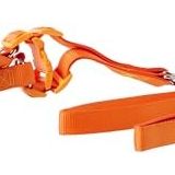 Euro Dog Turuncu 25 mm 120 cm Köpek Uzatma Tasması ve Göğüs Tasması Takımı