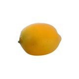 Euro Flora Yapay Meyve Limon 5.5x10cm