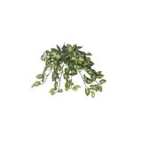 Euro Flora Yapay Sarmaşık Sygonıum Demet 42cm