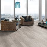Euro Home 1285x192x8 mm Gümüş Meşe Laminat Parke