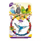 EuroBird Renkli Daire Salıncak Kuş Oyuncağı
