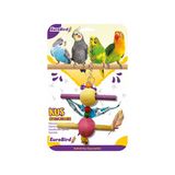 EuroBird Renkli Dal Salıncak Kuş Oyuncağı