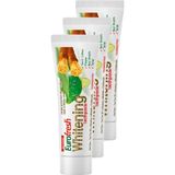 Eurofresh Whitening Aloe Veralı Misvaklı Diş Macunu 112g 3'lü Set