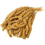 Eurogold 1000 gr Sarı Dal Darı