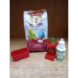 EuroGold Euro Gold Special Meyveli Muhabbet Kuşu Yemi 500 Gr+Küçük Mamalık+70 ml Kelepçeli Suluk+A,d,c, ve E Vitamin Içerikli Damla - 1 ADET