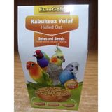 Eurogold Kabuksuz Yulaf Tohumu 150 gr x 2 Paket