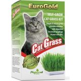 Eurogold Kedi Çimi Sistemi Desteği