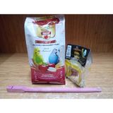 Eurogold Meyveli Muhabbet Yemi 500 gr +30 cm Renkli Ahşap Tünek+Aynalı Salıncak Kuş Oyuncağı - 1 ADET
