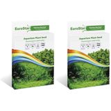 Eurostar Glossostigma Elatinoides Akvaryum Bitkisi Tohumu (2 paketi)