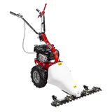 Eurosystems M210 Benzinli Çayır Biçme Makinesi