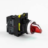 Eurowest EW-55-02XSL 2 Nc 220 V Kırmızı Led Işıklı Kalıcı Mandal Buton