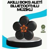 Ev Tipi Akıllı Boks Duvar Paneli Müzikli Bluetoothlu Refleks Geliştirme Cihazı Midastech - Çok Renkli