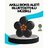 Ev Tipi Akıllı Boks Duvar Paneli Müzikli Bluetoothlu Refleks Geliştirme Cihazı Mir94903109