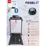 Ev Tipi Yürüme & Koşu Bandı/FG-380HT