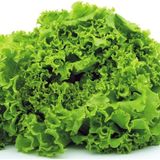 Ev Ve Bahçe Arapsaçı Kıvırcık Marul Tohumu (100 Tohum)