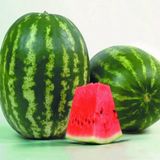 Ev Ve Bahçe Crimson Sweet Karpuz Tohumu (20 Tohum)