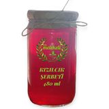 Ev Yapımı Kızılcık Şerbeti 480ML - 480 ml