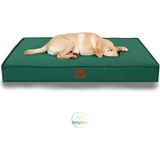 Eva Garden Eva Garden, %100 Su Geçirmez Alezli, Çıkarılabilir Kılıflı, Tüy ve Leke Tutmaz Kumaşlı Kedi ve Köpek Yatağı - Yeşil - 90 x 110 cm