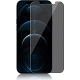Evax Hayalet Cam Ekran Koruyucu Esd Anti-Statik - iPhone 12 Pro Max