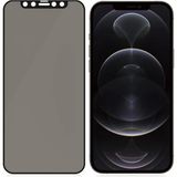 Evax Hayalet Cam Ekran Koruyucu Esd Anti-Statik - iPhone 12 Pro