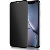 Evax Hayalet Cam Ekran Koruyucu Esd Anti-Statik - iPhone XR